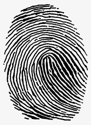 Png Transparent Download Fingerprint Clipart Thumb - Fingerprints Clip Art