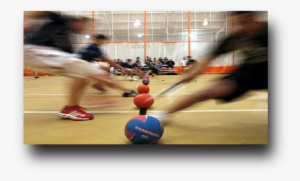 Contact - Email - Admin@play-dodgeball - Co - Uk Phone - Dodgeball Sport