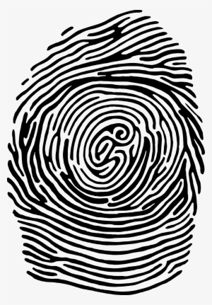 Freeuse Download Fingerprint Clipart Simplified - Agencia D3