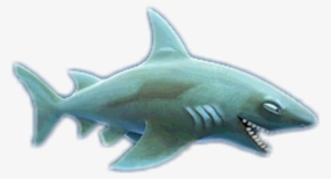 Reefshark - Hungry Shark Evolution Clip Art