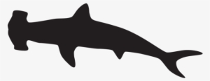 Visit - Hammerhead Shark Silhouette
