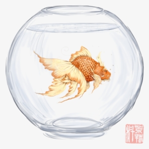 Empty Goldfish Bowl - Marine Invertebrates