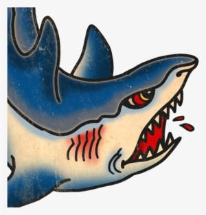 Sharks - Shark