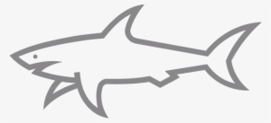 Paul And Shark Logo