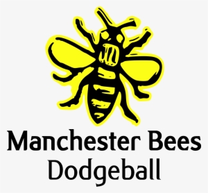 Manchester Bees Dodgeball Club - Manchester Bees Dodgeball