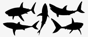 Big Image - Hd Shark Silhouette Png