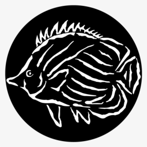 Sea Tropical Fish - Fish Gobo