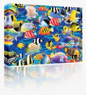 Tropical Fish - Mighty Skins Skin Decal Wrap For Otterbox Elevation