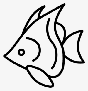 Download Tropical Fish Vector Free Fish Svg Transparent Png 400x400 Free Download On Nicepng