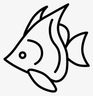 Download Fish Vector Png Download Transparent Fish Vector Png Images For Free Nicepng