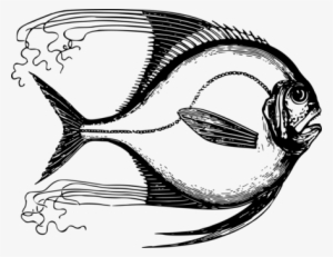 T-shirt Tropical Fish Drawing Moorish Idol - Fish 5'x7'area Rug