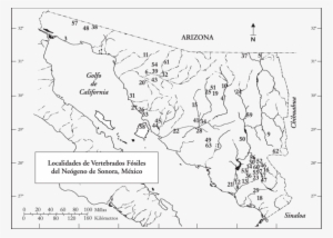 Localidades De Vertebrados Fósiles Del Neógeno De Sonora, - Map