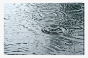 Raindrops Rippling In A Puddle Canvas Print • Pixers® - Puddle