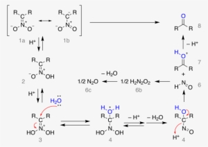 Nef Reaction Mechanism - Nitronate Salt