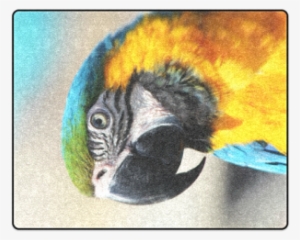 Parrot 2015 0205 Blanket - Parrot 2015 0205 Canvas Print - Small By Jamfoto