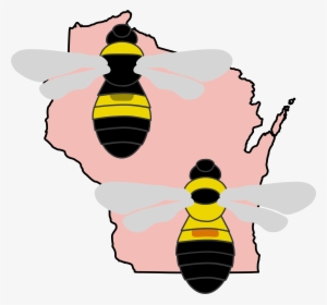 Familiar, Fuzzy Friends - Bumble Bee Identification Wisconsin