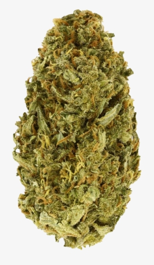 Amnesia Haze