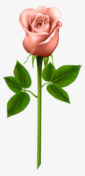 Peony with Stem PNG Clipart​  Gallery Yopriceville - High-Quality Free  Images and Transparent PNG Clipart