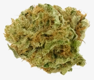 Amnesia Haze - Encino