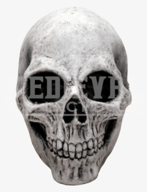White Skull Mask - Adult Halloween Deluxe White Skull Mask