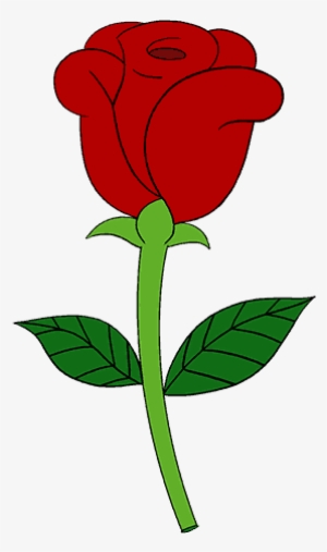 single flower drawing