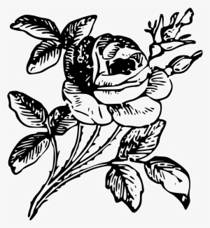 This Free Icons Png Design Of Rose 8