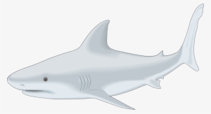 Fish Clipart Shark - Shark