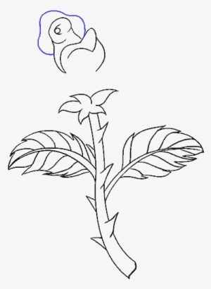 How To Draw Rose With A Stem - Draw A Rose Stem