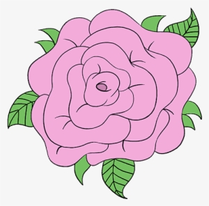 How To Draw Rose Flower Step - Drawing Transparent PNG - 678x600 - Free  Download on NicePNG