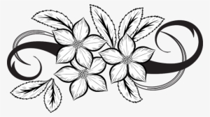 Flowers Drawing Png Pinterest - Drawing