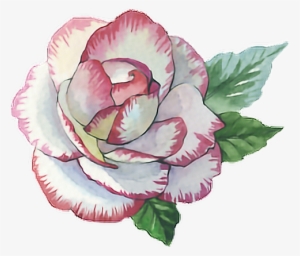 Rose Roses Paint Watercolor Watercolour Flower Pink - Rose Paint Png
