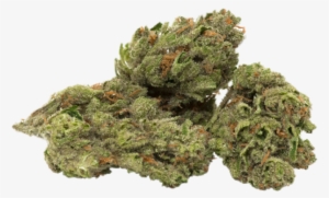 Strains - Transparent Cannabis Bud Png