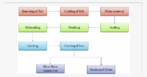 Fish Processing Steps