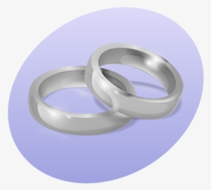P Rings - Titanium Ring