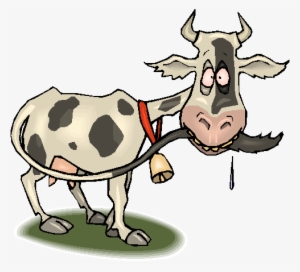 Ranch Rodeo Bible Series - Cartoon Mad Cow Disease Png
