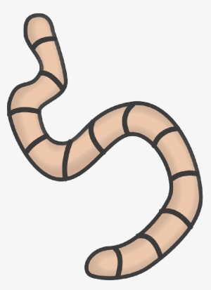 Mb Image/png - Worm Clipart Transparent Background
