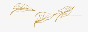 Jade-goldleaf - Illustration