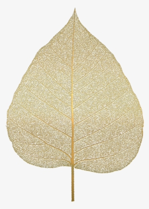 Bleed Area May Not Be Visible - Transparent Leaf Skeleton Png