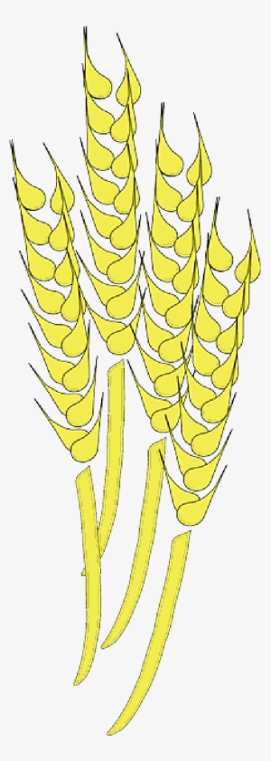 Mb Image/png - Wheat Clip Art