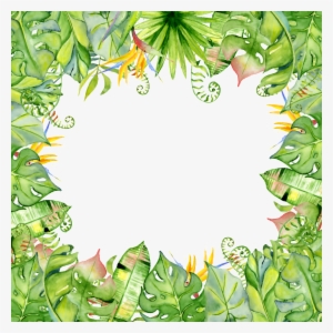 Hand Painted Banana Leaf Border Png Transparent - Borders With Plants Design