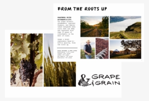 Grape & Grain - Portable Network Graphics