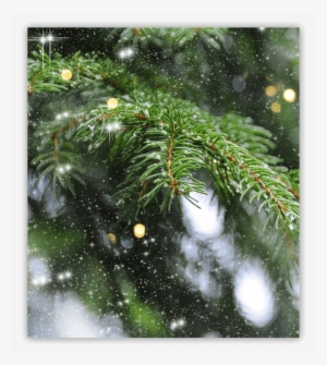 Essentials Tree - Christmas Tree
