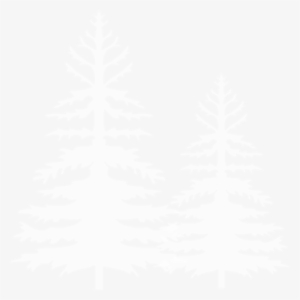 Snow Illustration - Christmas Tree