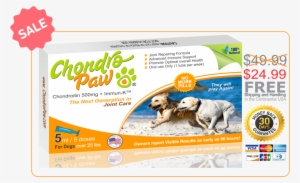 Chondropaw® For Dogs Over 25lbs - Synoquin Large Breed 120 Efa Large Breed Tablets