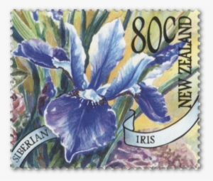 Single Stamp - Iris
