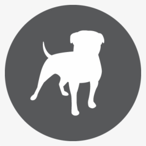 10 Apr 2015 - Zynga