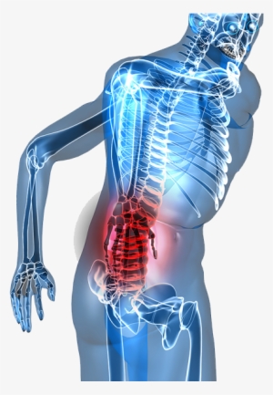 At Luke Chiropractic & Sports Injury We Offer Chiropractic - Low Back Pain Png