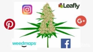 Cannabis Smm Consultant - Social Media Marketing