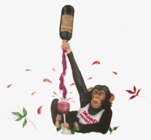 Drunken Monkey Si - Drunken Monkey