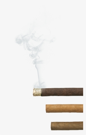 Master Blender Agio Cigars - Sketch